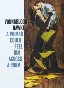 Youngblood Hawke 1964