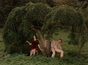 Ovoce stromu rajskych jime aka Fruit of Paradise (1970) 1