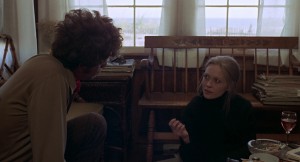 Puzzle of a Downfall Child (1970) 2