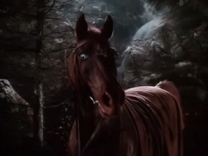 The Red Stallion (1947) 4