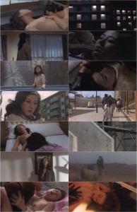 Zoom In Rape Apartments (1980)
