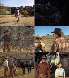Black Horse Canyon (1954) 2