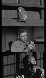 Birdman of Alcatraz (1962) 1