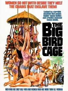 the_big_bird_cage