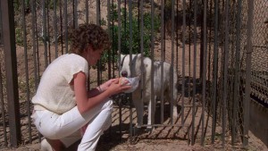 White Dog (1982) 4