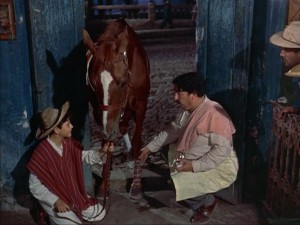 The Littlest Outlaw (1955) 3