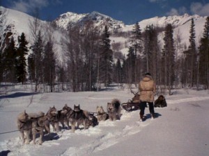 The Wild North (1952) 2