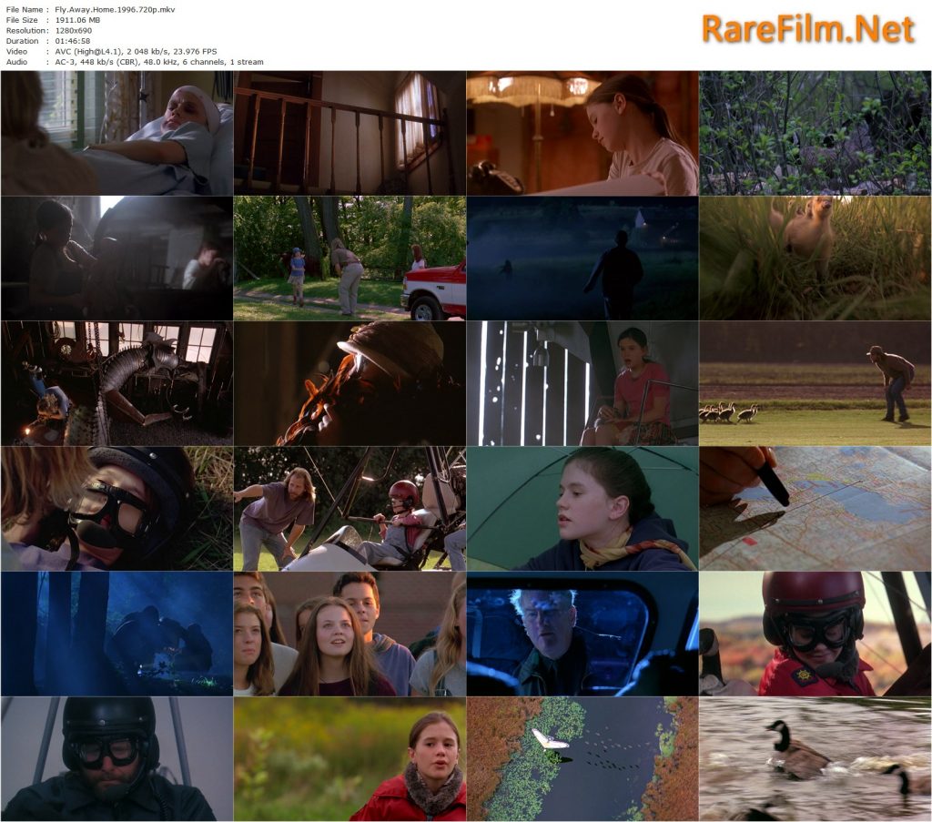 Fly Away Home (1996) Carroll Ballard, Jeff Daniels, Anna Paquin, Dana