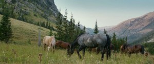 Unbranded (2015) 3