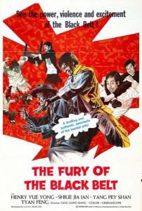 the-awaken-punch-aka-fury-of-the-black-belt-1973