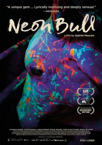 boi-neon-aka-neon-bull-2015
