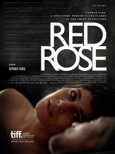 red-rose-2014