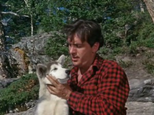 Nikki, Wild Dog of the North (1961) 1
