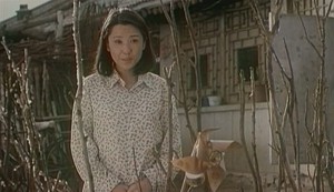 Nuan chun Aka Warm Spring (2003) 3