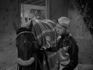 Stablemates (1938) 5