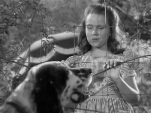 Banjo (1947) 5