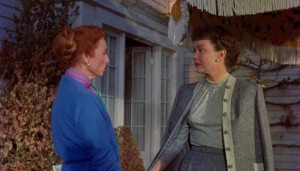 All That Heaven Allows (1955) 2