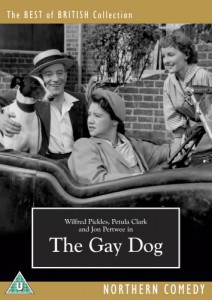 The Gay Dog (1954)