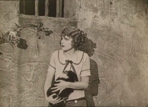 The King of Wild Horses (1924) 3