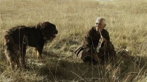 Old Dog (2011) 3