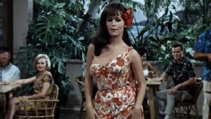 Paradise, Hawaiian Style (1966) 1