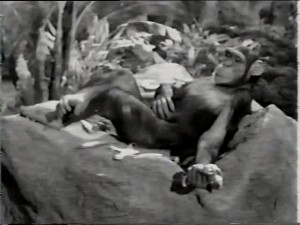 Jungle Man-Eaters (1954) 4