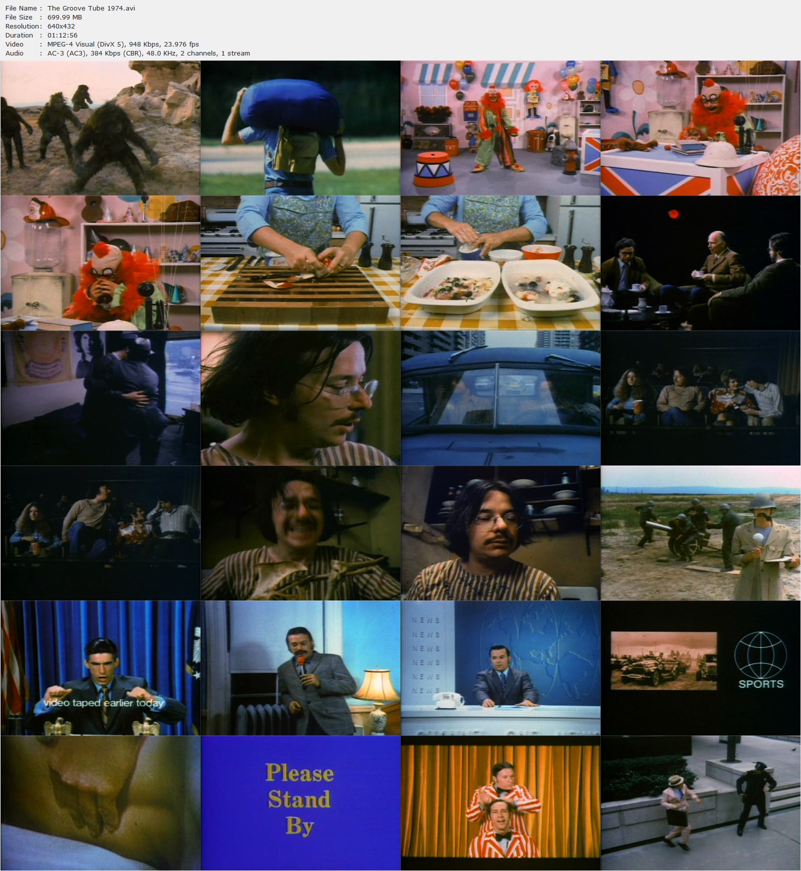 The Groove Tube (1974)  Wild movie, Weird facts, Richard belzer