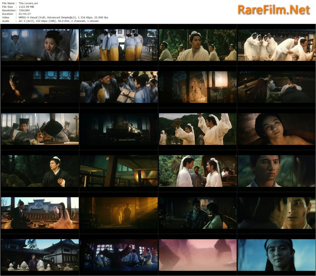 The Lovers (1994) Hark Tsui, Nicky Wu, Charlie Yeung, Carrie Ng RareFilm