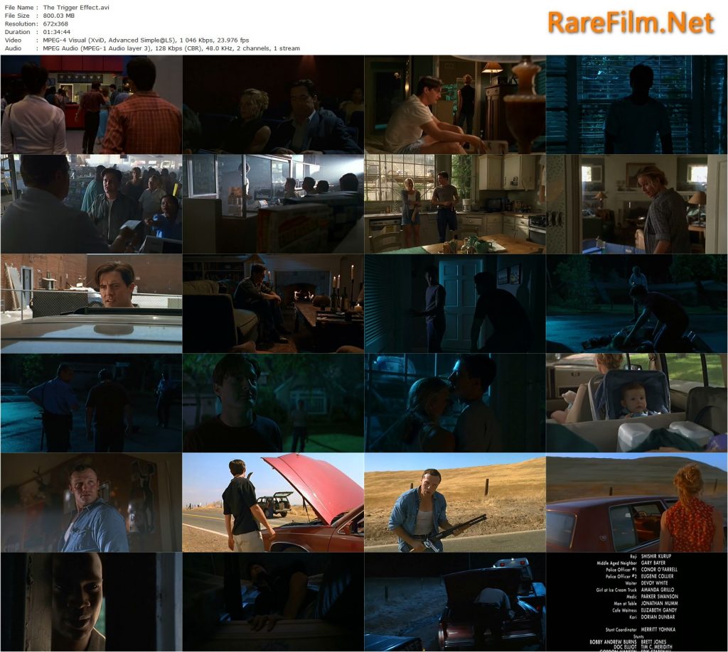 The Trigger Effect (1996) David Koepp, Kyle MacLachlan, Elisabeth Shue