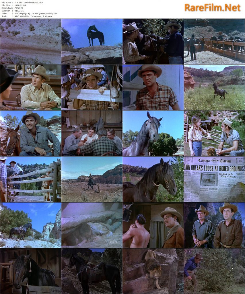 The Lion and the Horse (1952) Louis King, Steve Cochran, Wildfire the