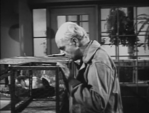 The Wasp Woman (1959) 4
