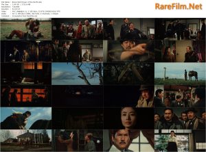 Brave Red Flower of the North AKA Nihon jokyo-den: makka na dokyo-bana (1970) Yasuo Furuhata