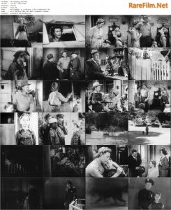 The Underdog (1943) William Nigh