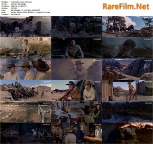 From Hell to Texas (1958) Henry Hathaway, Don Murray, Diane Varsi, Chill Wills