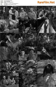 Tarzan and His Mate (1934) Johnny Weissmuller