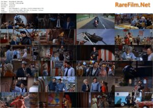 Roustabout (1964) John Rich