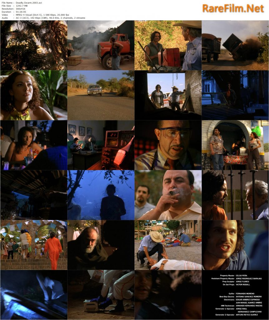 Deadly Swarm (2003) Paul Andresen, Shane Brolly, Kaarina Aufranc, J ...
