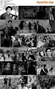 Under the Olive Tree (1950) Non c'è pace tra gli ulivi