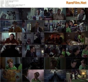 The Tiger Makes Out (1967) Arthur Hiller