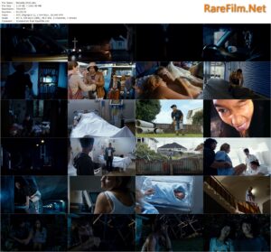 Matariki (2010) Michael Bennett