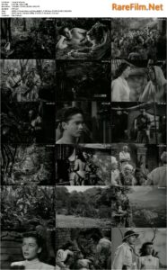 Song of India (1949) Albert S. Rogell