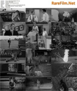The Incredible Shrinking Man (1957)