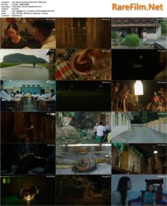 The Story of Southern Islet (2020) Nan wu