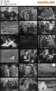 Zugvögel (1947) Rolf Meyer, Carl Raddatz