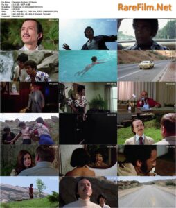 Dynamite Brothers (1974) Al Adamson