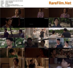 Summer Lights (2016) Lumières d'été