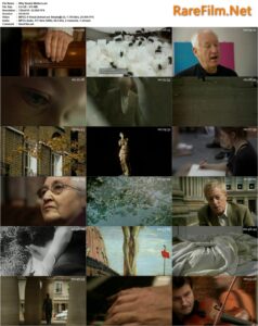 Why Beauty Matters (2009) Louise Lockwood