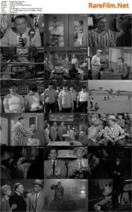 Kill the Umpire (1950) Lloyd Bacon