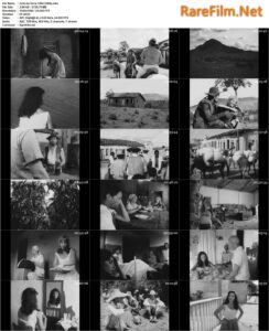 Grito da Terra (1964) Olney São Paulo