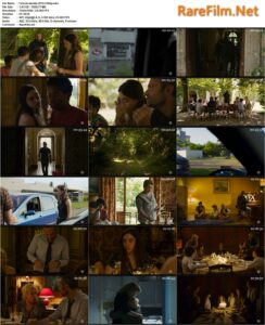 Happy Birthday (2019) Fête de famille